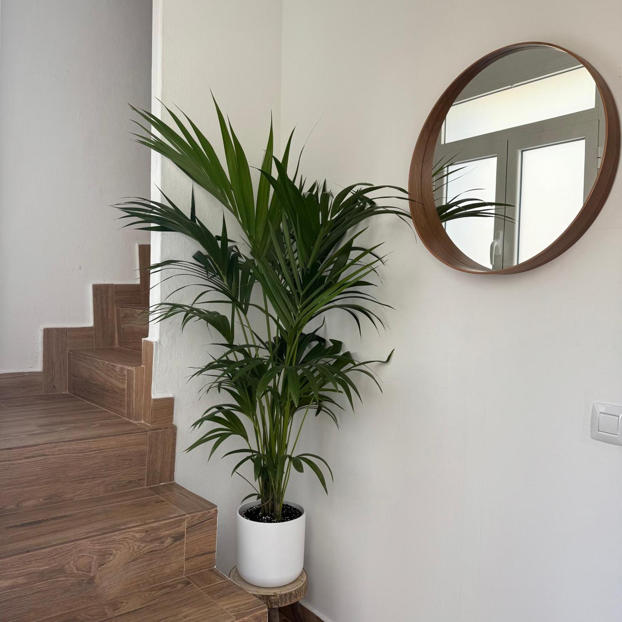 Casa Yeye City Loft Agaete  Exteriér fotografie